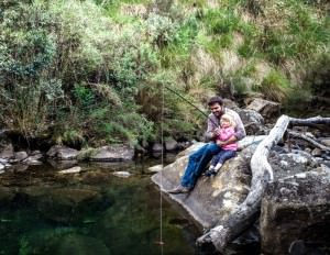 Property-syndication